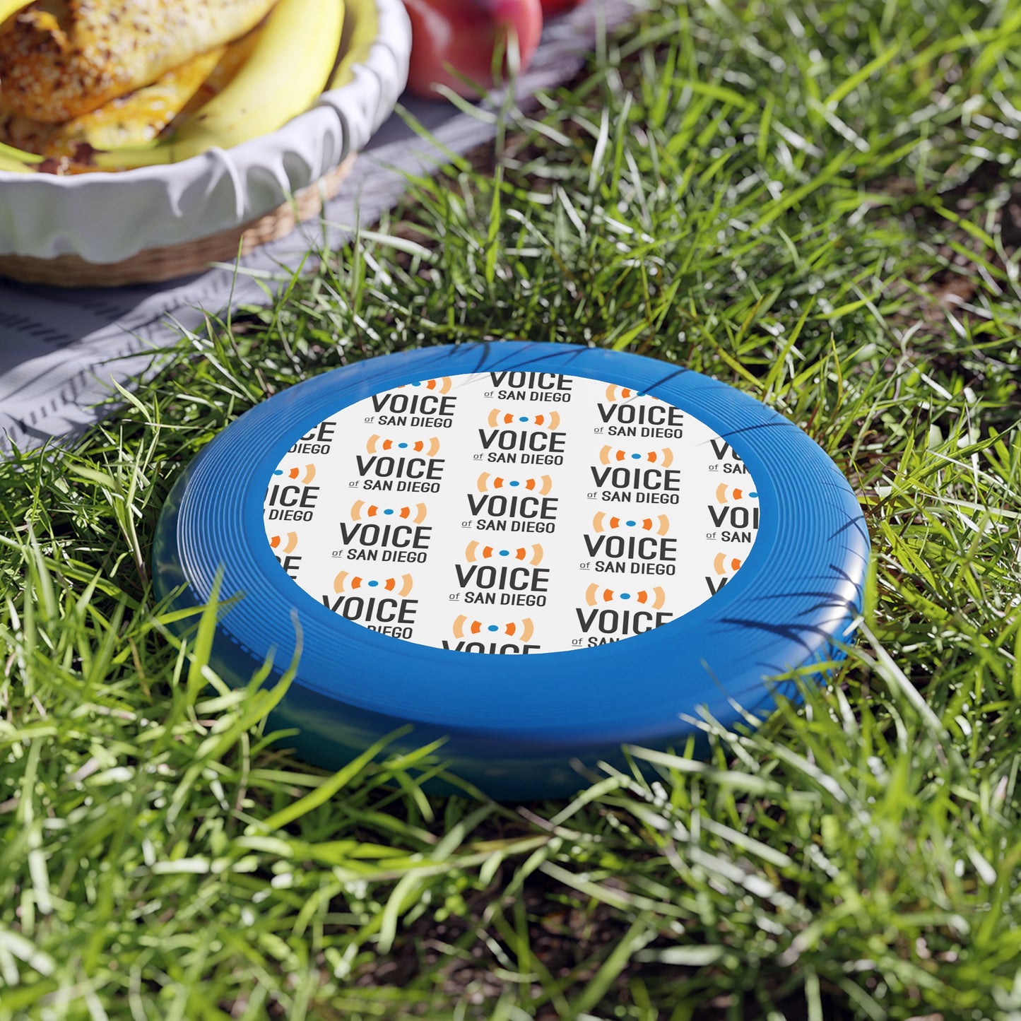 Voice of San Diego Frisbee